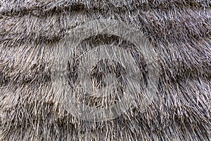 Texture view of the roof typical of traditional houses on the island of Madeira, in thatch or straw