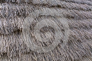 Texture view of the roof typical of traditional houses on the island of Madeira, in thatch or straw