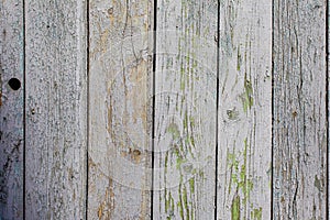 Texture vintage wooden background. Background for design