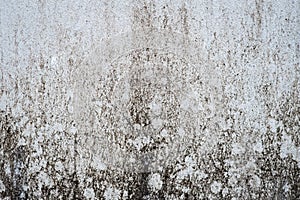 Texture of the wall background