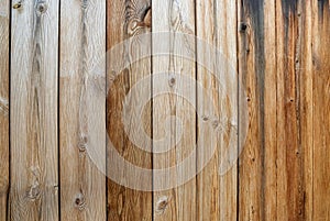 Texture of the wall made of brown wooden panels with big knots and multiple cracks as a natural rural background