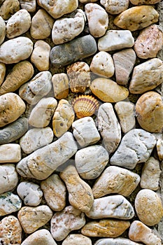 Texture of a wall made of sea stones with a shell in the middle