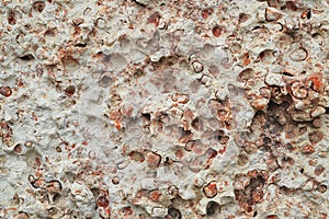 Texture of the wall made of white and pink shell rock or coquina, stone background