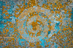 Texture wall moss mushroom braid abstract background