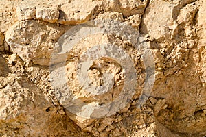 texture of a wall of sandy rock from a yellow friable old rotten stone of rock with shards, holes and layers of sand. The backgro