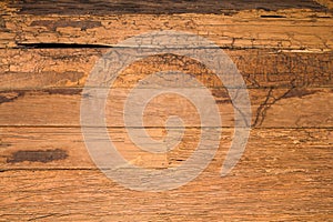 Texture wall wood termites