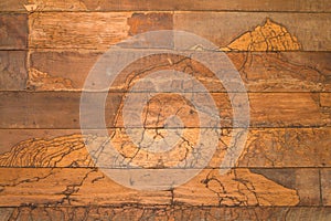 Texture wall wood termites