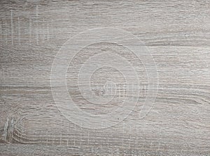 Texture. Wallpaper. Light colored artificial wood. photo