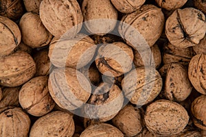 The texture of walnuts - close-up of walnuts in the shell