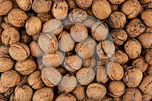 The texture of walnuts - close-up of walnuts in the shell
