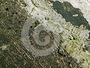 Texture Water Droplets in Wall