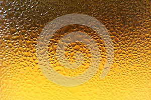 Texture of Water Droplets on Yellow Gold Color Lager Beer Glass