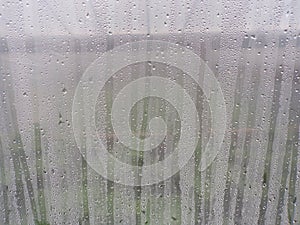 Texture of water drops or rain on the glass of the house window.