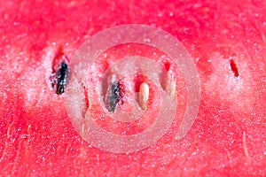 The Texture watermelon