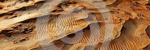 Texture of Wavy Sand Dunes in Desert. Dune Fields Surface Texture