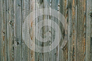 Texture of weathered gray green wooden boards. Vintage wood pattern, surface. Dirty shabby timber, oak, pine. Hardwood grey backgr