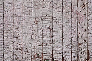 The texture of weathered wooden wall. Aged wooden plank fence of vertical flat board