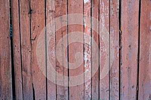 The texture of weathered wooden wall. Aged wooden plank fence of vertical flat boards