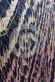 Texture of a wenge tree shot on a macro lens 2018