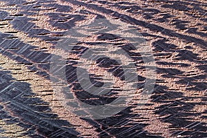 Texture of a wenge tree shot on a macro lens 2018