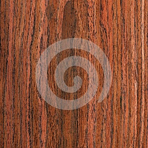 Texture wenge tree, wood grain