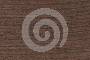 Texture of wenge wood. Dark brown wood for furniture or flooring. Close-up of a Wenge wooden plank, top view.