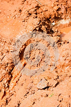 Texture of wet brown clay close up