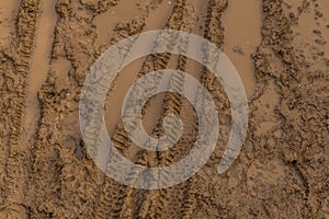 Texture of wet brown mud with bicycle tyre tracks