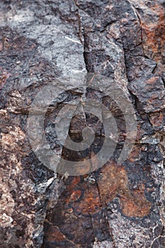 The texture of wet dark brown stone with moss. close-up of rock, background