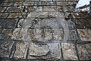 Texture wet pavement stones