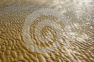 Texture of wet sea sand with patterns of water.