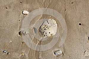 Texture of wet sea sand and stones