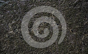 Texture of wet stone covered with moss