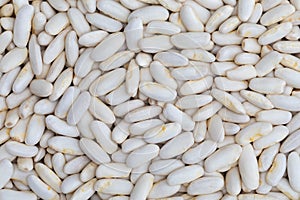 Texture of white beans fabes.