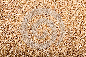 Texture of white brown rice.