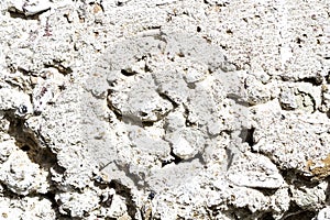 Texture of white concrete wall