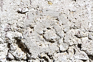 Texture of white concrete wall