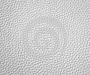 Texture of white leather