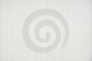 Texture of white primed canvas