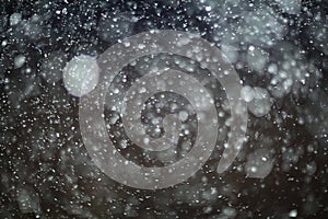 Texture of white rain drops on a black background