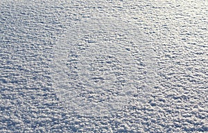 Texture white snow in sunny weather background