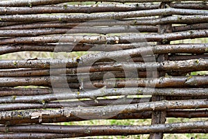 Texture of wicker fence, natural background