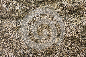 Texture of wild natural stone