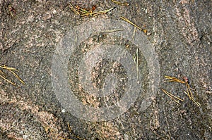 Texture of wild natural stone