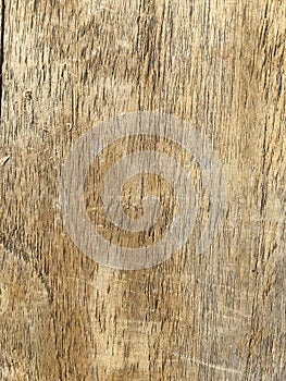 Texture of the wood