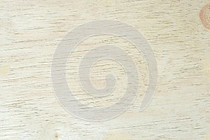 Texture of wood for background.