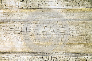 The texture of wood for background