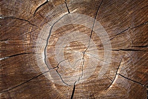 The texture of wood for background