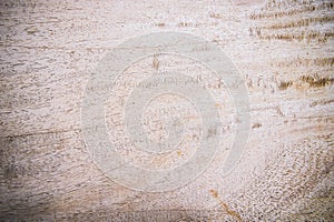 Texture wood background , basic classic wood style for deskwork