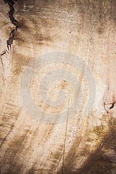 Texture wood background , basic classic wood style for deskwork